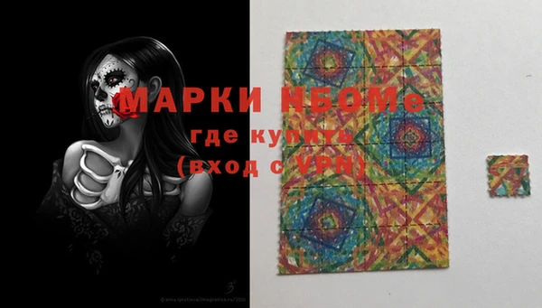 хмурый Алексин