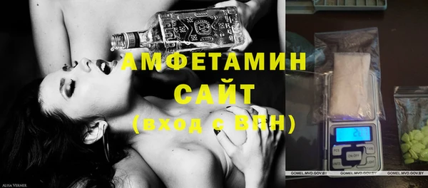 хмурый Алексин