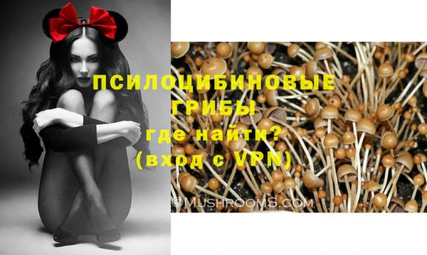 хмурый Алексин