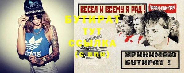 хмурый Алексин